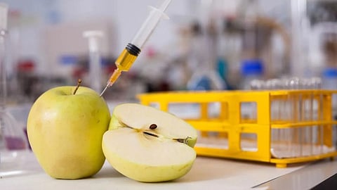 Maharashtra Government Action On Fruit Vegetable Adulteration