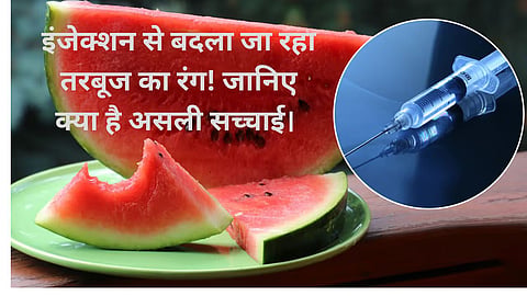 Injection is changing the color of a watermelon