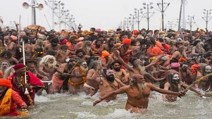 godavari river pollution kumbh mela high court petition