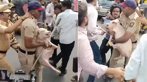 Mira Road Bakrid Pig Controversy