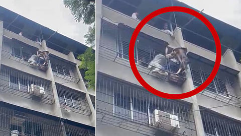 Mumbra Goat Rescue Viral Video