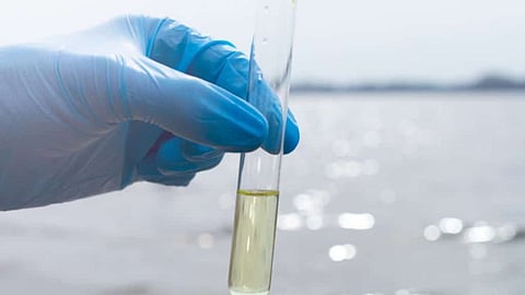 Navi Mumbai Water Quality Testing Campaign