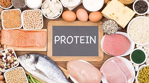 What is Protein and its source for good health and muscle gain.