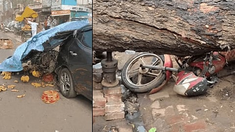 Shivpuri Destructive Storm Girl Falls From Roof Wall Collapses Three Injured