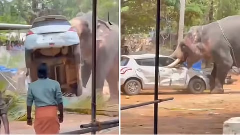 A rampaging elephant threw a car during a Kerala temple festival, while two deaths raised fresh safety concerns.