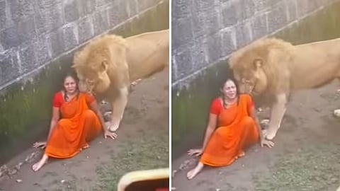 The viral lion and woman clip was not real but a fake video created using AI and VFX.