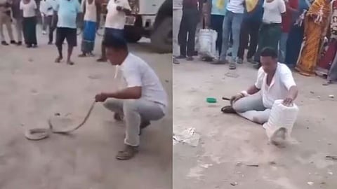 A man performing tricks with a snake was attacked, leading to a tragic incident within minutes.