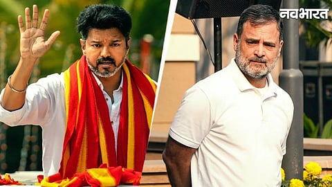 Vijay TVK: Congress Backs Superstar Vijay In Tamil Nadu After Election Results DMK Reacts Strongly
