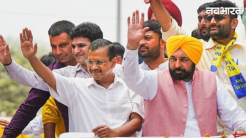 punjab local body election result 2026