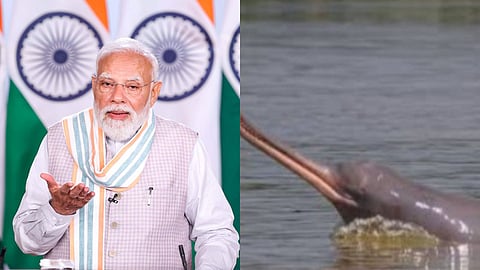 mann ki baat episode 134 dolphine rescue