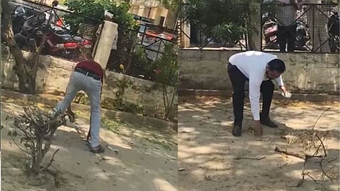 A monkey snatched a lawyer’s bag containing Rs 2 lakh in Bulandshahr and scattered the cash from a tree, creating chaos in the court premises.