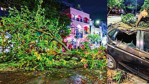 Meteorological Department's Warning Proved Accurate: Weather Takes a U-Turn in Nagpur; Storms and Rain Cause Havoc, Power Outages Reported in Several Areas.