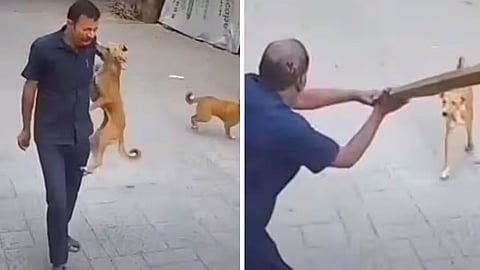 A viral CCTV video of a stray dog approaching a school guard in Mumbai has reignited debate over public safety and animal welfare.