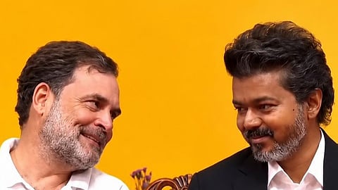 vijay thalapathy rahul gandhi