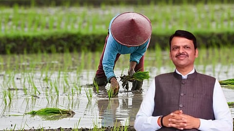 akola farmer loan waiver scheme 2026 kharif season relief
