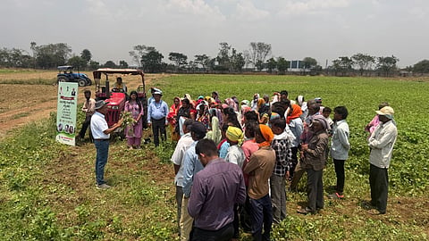 daryapur kheti bachao program pest management natural farming guidance