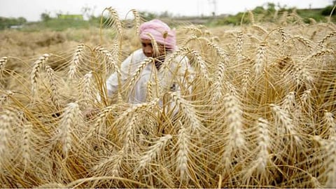 Ahilyadevi Holkar Farmer Loan Waiver Scheme