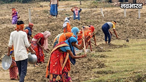 Low wage rate of ₹312 stalls farm road projects under the Employment Guarantee Scheme in Akola. Labor shortage leaves construction incomplete ahead of monsoon.