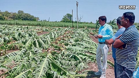 baramati pre monsoon crop damage hailstorm compensation demand