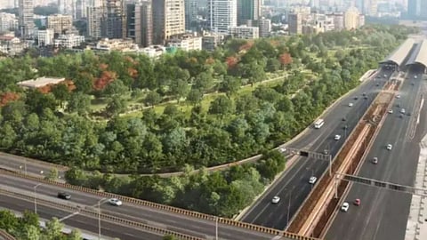 Coastal Road Garden
