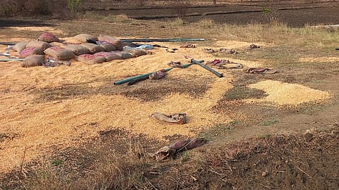 Crop Damage by Elephants