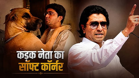 dog lover raj thackeray james rhino stories birthday special