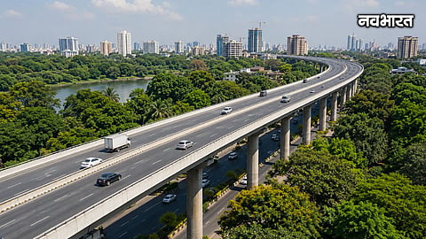 MMRDA Redesigns Eastern Freeway Extension Project Saves Hundreds Of Trees