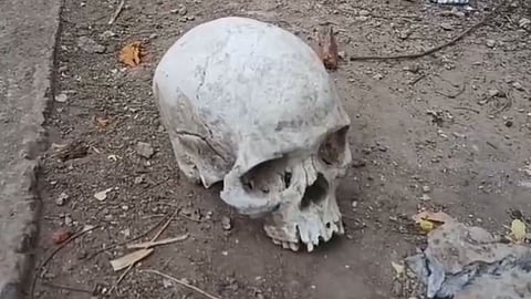 Jabalpur Ranjhi Human Skull Recovery Police Continue Investigation