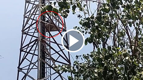 jabalpur-sihora-land-dispute-women-climb-tower-video-viral