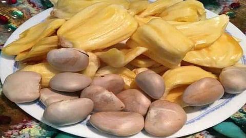Jackfruit Seeds Health Benefits