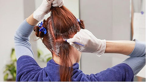 Natural Hair dye made of seeds of jamun to cover grey hair.