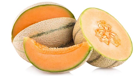 Kharbuje Ke Beej Benefits In Hindi
