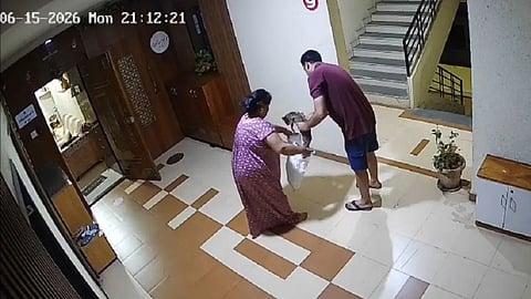 Kharghar Cat Cruelty Case
