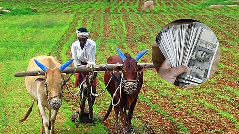 Farmer Concerns Fake Seeds In Bhandara