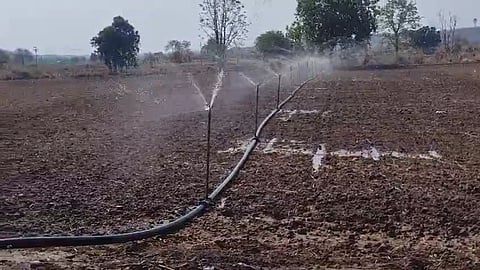 _Kharif Season Sowing Delayed