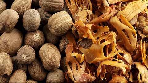 javitri-vs-jaifal-benefits-side-effects-mace-vs-nutmeg-health-comparison