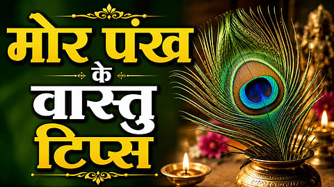 Vastu tips about morpankh to keep at the right place for prosperity