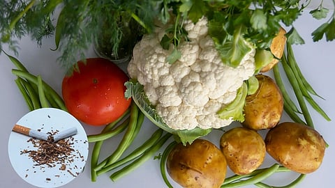 Not only in cigarette, nicotine contains in daily eating vegetable