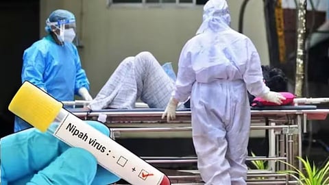Nipah Virus Alert: Surveillance stepped up at the Kerala-Tamil Nadu border; suspected Nipah virus case sparks alarm.