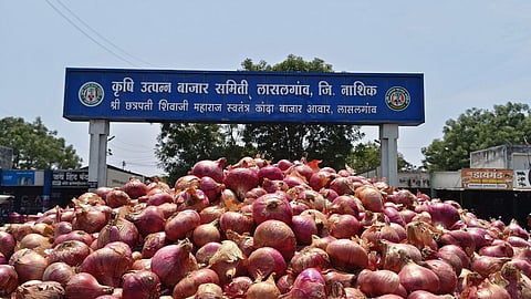onion price hike bhandara kitchen budget hit hoarding transport cost
