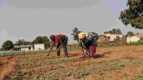 PM Kisan 23rd Installment Akola
