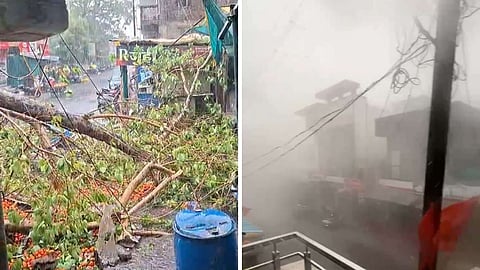 यवतमाल में आंधी तूफान और मूसलाधार बारिश का कहर, पेड़ और बिजली के खंभे गिरे