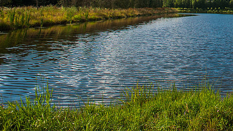 sakoli pond deepening beautification public participation water conservation