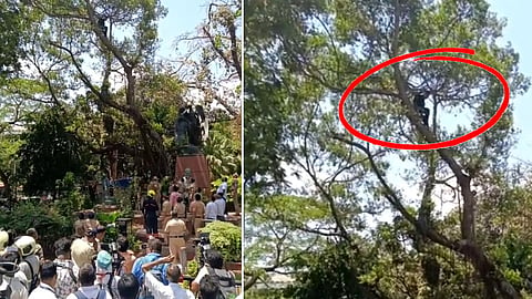 Ravikant Tupkar Mantralaya Tree Protest