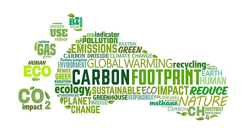 10 daily habits to reduce carbon footprint, to save the earth on environment day