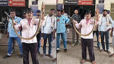 A 5-foot-long snake was found in the operation theatre in Sagar, causing panic in the hospital; it was rescued after a strenuous effort