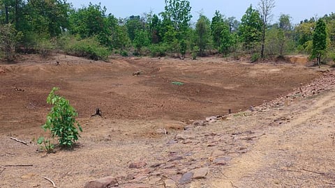 Wildlife Conservation Gadchiroli