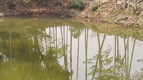 Yavatmal Drinking Water Survey