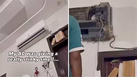 A bird's nest was found inside an air conditioner after a family investigated a foul smell coming from it.