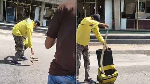 A Blinkit delivery boy in Mumbai went viral after safely rescuing a snake and placing it in his delivery bag to prevent harm.